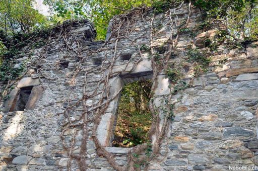 eventi, spettacoli, cosa succede, in città