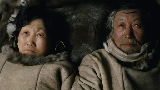 eventi, spettacoli, cosa succede, in città