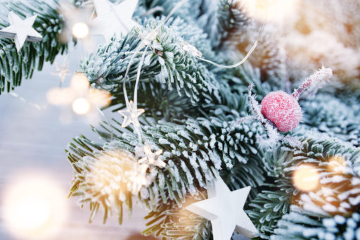 eventi, spettacoli, cosa succede, in città