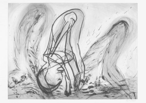 eventi, spettacoli, cosa succede, in città