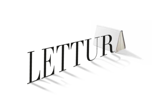 Sergio Roic. Letteratura e giornalismo