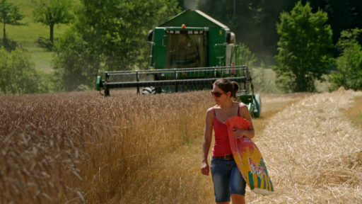 un po’ di CINEMA SVIZZERO