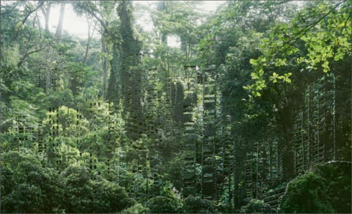Visita guidata alla mostra di Villa dei Cedri