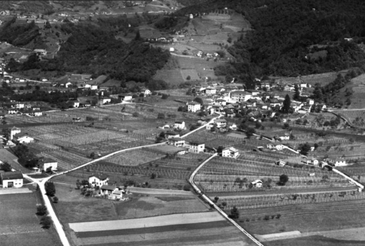 Camorino, la sua gente, la sua terra