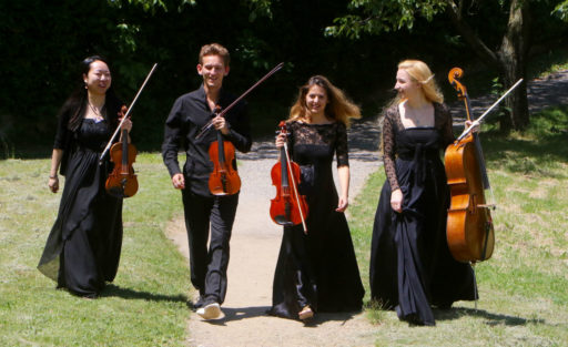 Festival Ticino Musica