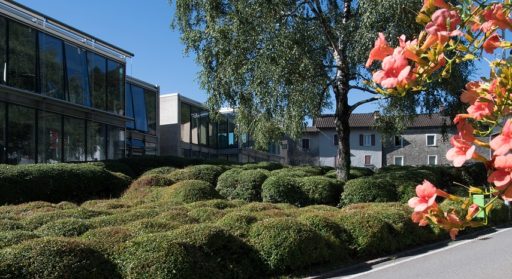 Musica, cinema e processione San Rocco