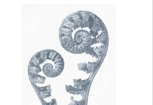 Arcipelago della felicità. Approdi della cura