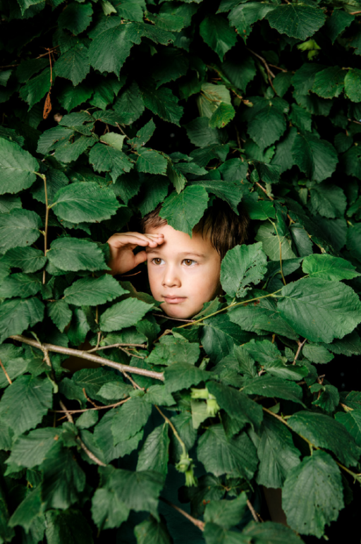 Pedibus: 20 anni di avventure!