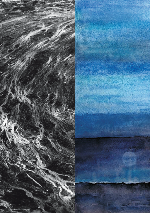 L’amico è… Acquarello