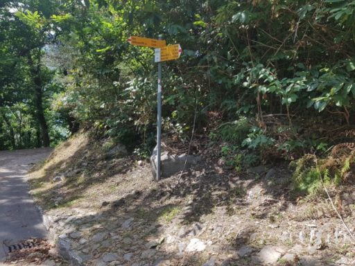 Slow Safari Bellinzona