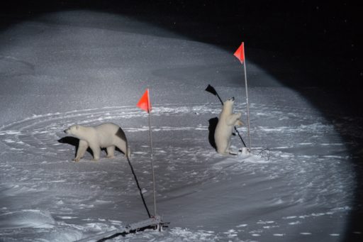 Diversità e giornalismo costruttivo