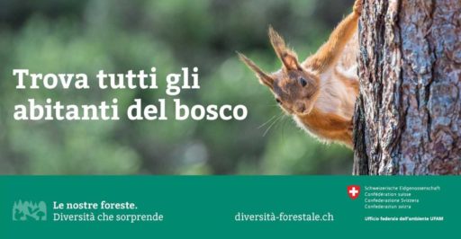 SCOPRI IL BOSCO