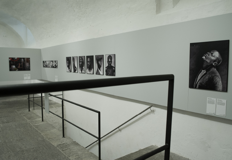 Image module