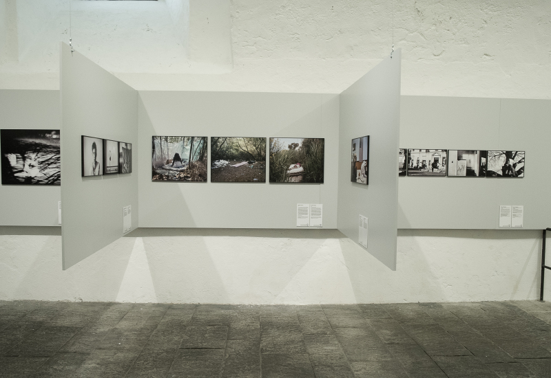 Image module