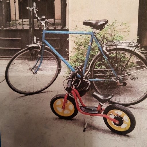 Pomeriggio bellinzonese