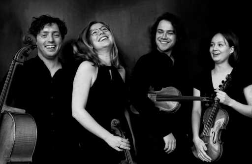 Festival Ticino Musica