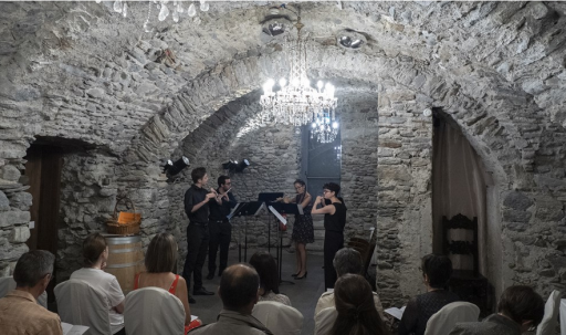 Festival Ticino Musica