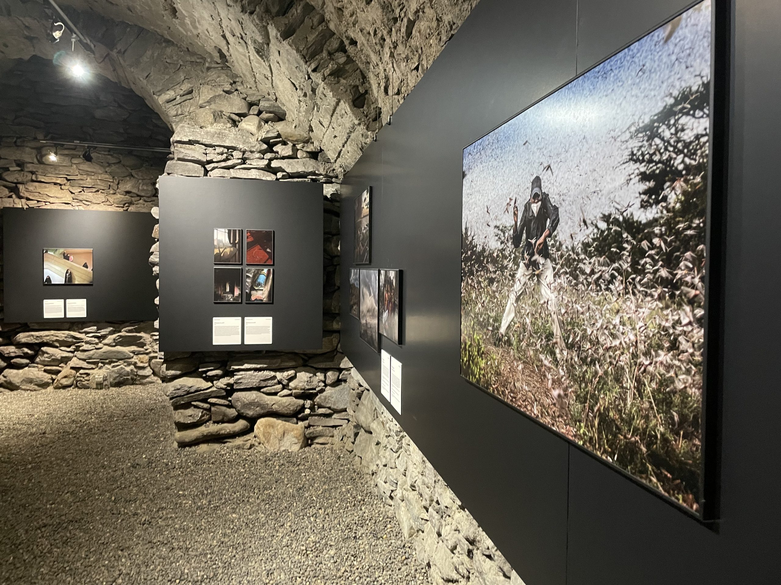 Image module