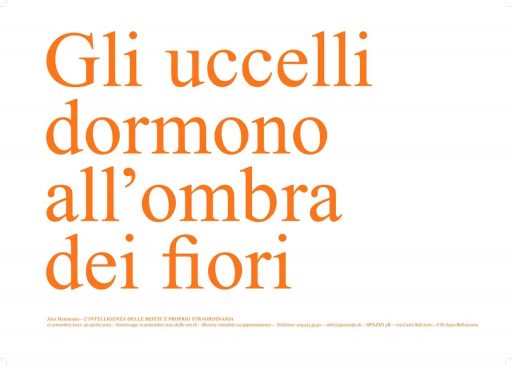 L’intelligenza delle bestie è proprio straordinaria