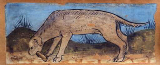 Presentazione del libro «Il soffitto della Cervia a Bellinzona»