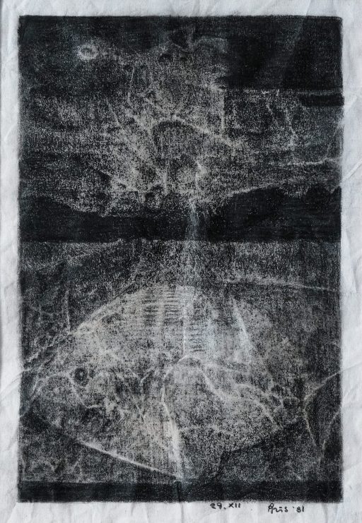 GIANNI PARIS GRAFITE E POESIA