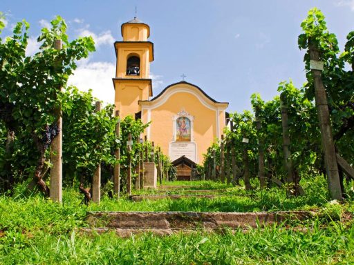 Concerto nella Chiesa di Artore