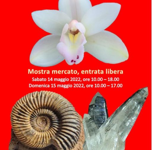 MINERALI – FOSSILI – ORCHIDEE