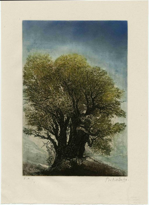 Dentro l’immagine, tra visione e rappresentazione